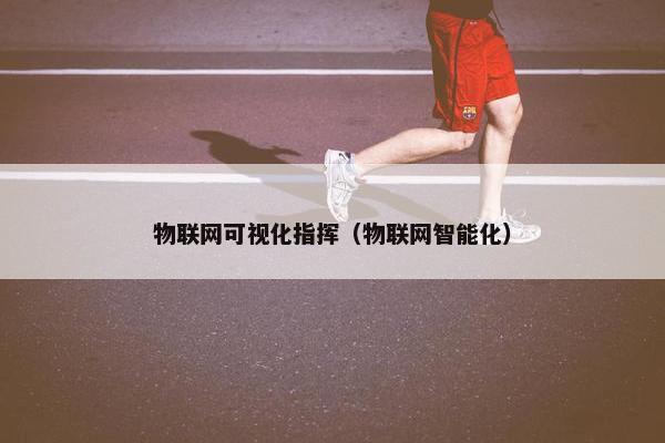 物联网可视化指挥（物联网智能化）