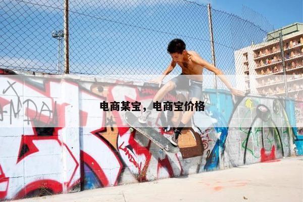 电商某宝，电商宝价格