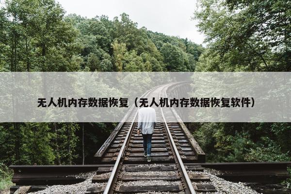 无人机内存数据恢复（无人机内存数据恢复软件）