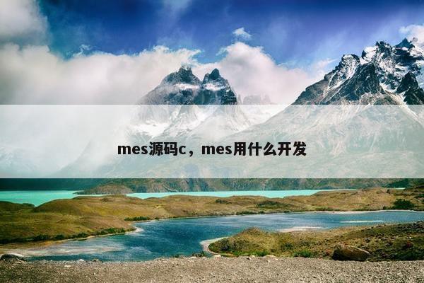 mes源码c，mes用什么开发