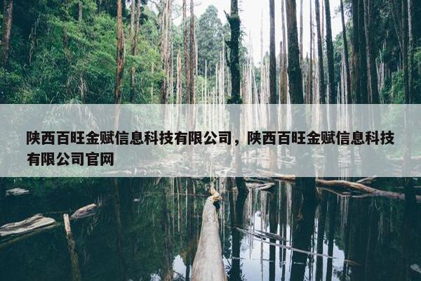 陕西百旺金赋信息科技有限公司，陕西百旺金赋信息科技有限公司官网