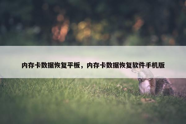 内存卡数据恢复平板，内存卡数据恢复软件手机版