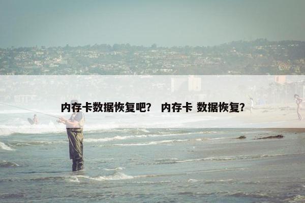 内存卡数据恢复吧？ 内存卡 数据恢复？