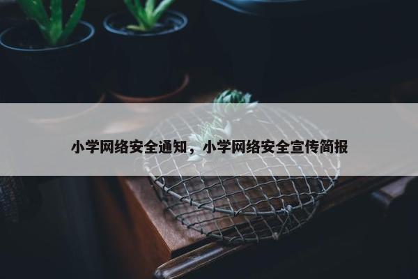 小学网络安全通知，小学网络安全宣传简报