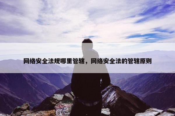 网络安全法规哪里管辖，网络安全法的管辖原则