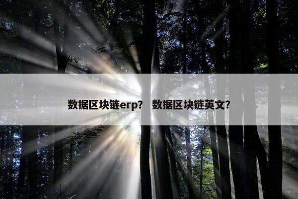 数据区块链erp？ 数据区块链英文？