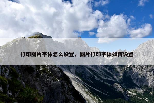 打印图片字体怎么设置，图片打印字体如何设置