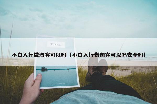 小白入行做淘客可以吗（小白入行做淘客可以吗安全吗）