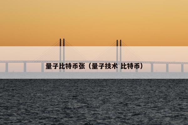 量子比特币张（量子技术 比特币）