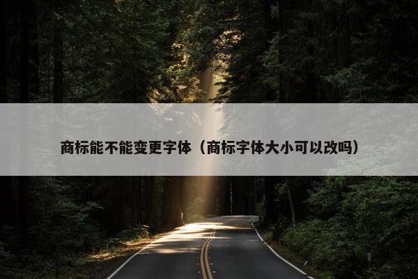 商标能不能变更字体（商标字体大小可以改吗）