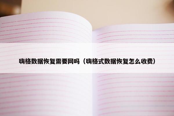 嗨格数据恢复需要网吗（嗨格式数据恢复怎么收费）