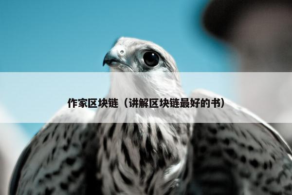 作家区块链（讲解区块链最好的书）