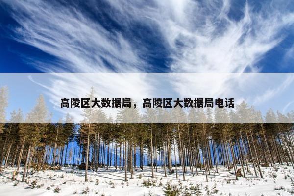 高陵区大数据局，高陵区大数据局电话