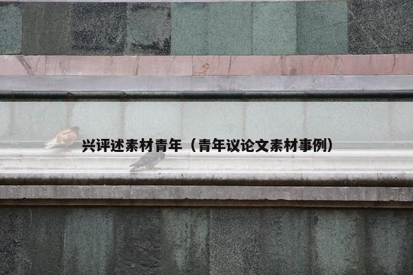 兴评述素材青年（青年议论文素材事例）