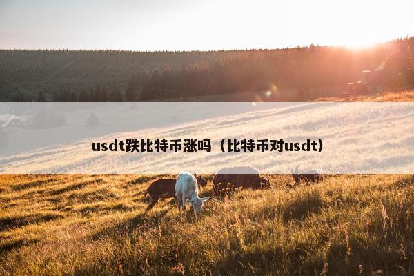 usdt跌比特币涨吗（比特币对usdt）