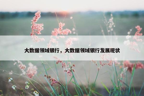 大数据领域银行，大数据领域银行发展现状