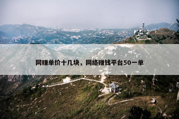 网赚单价十几块，网络赚钱平台50一单