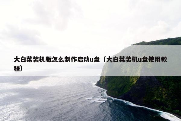 大白菜装机版怎么制作启动u盘（大白菜装机u盘使用教程）