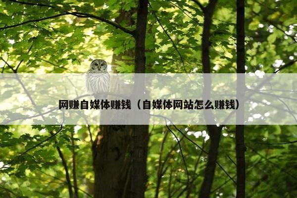 网赚自媒体赚钱（自媒体网站怎么赚钱）
