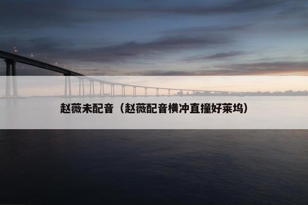 赵薇未配音（赵薇配音横冲直撞好莱坞）