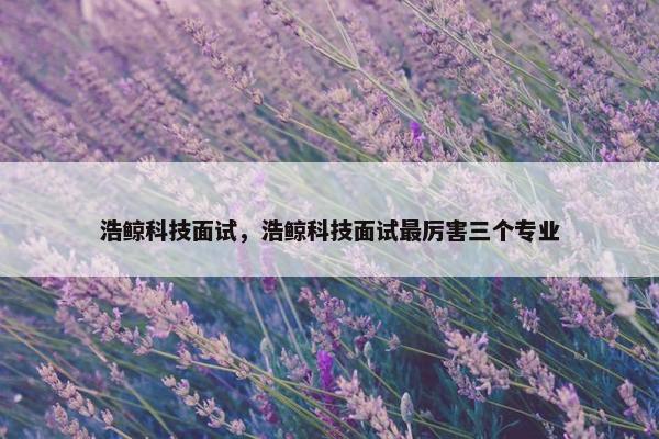 浩鲸科技面试，浩鲸科技面试最厉害三个专业