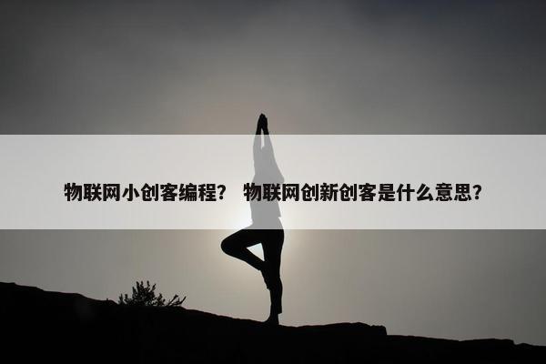物联网小创客编程？ 物联网创新创客是什么意思？