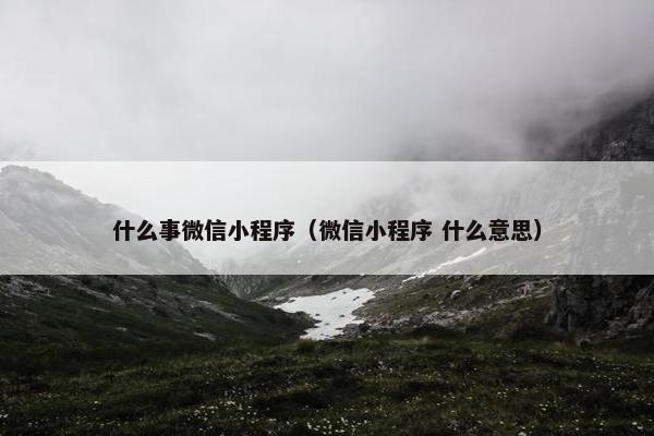 什么事微信小程序（微信小程序 什么意思）