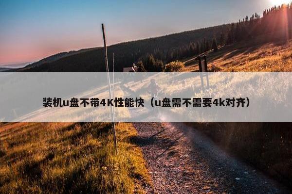 装机u盘不带4K性能快（u盘需不需要4k对齐）
