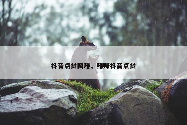 抖音点赞网赚，赚赚抖音点赞