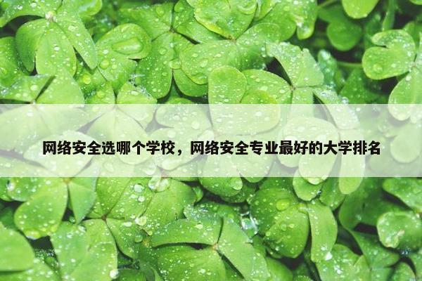 网络安全选哪个学校，网络安全专业最好的大学排名