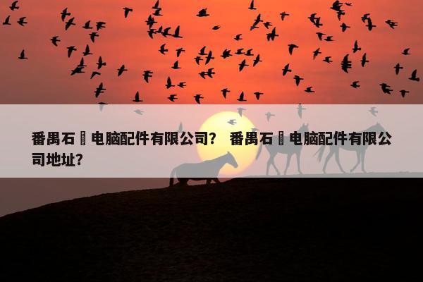 番禺石碁电脑配件有限公司？ 番禺石碁电脑配件有限公司地址？