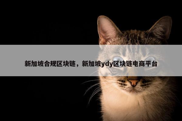 新加坡合规区块链，新加坡ydy区块链电商平台