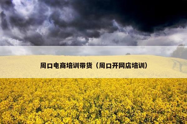 周口电商培训带货（周口开网店培训）