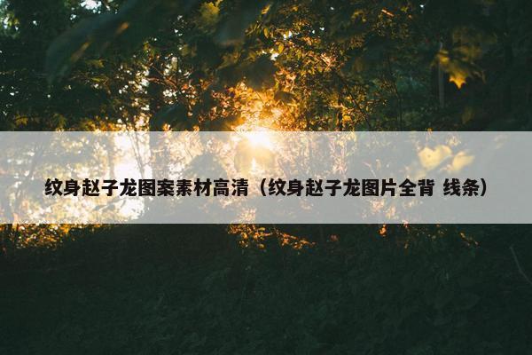 纹身赵子龙图案素材高清（纹身赵子龙图片全背 线条）