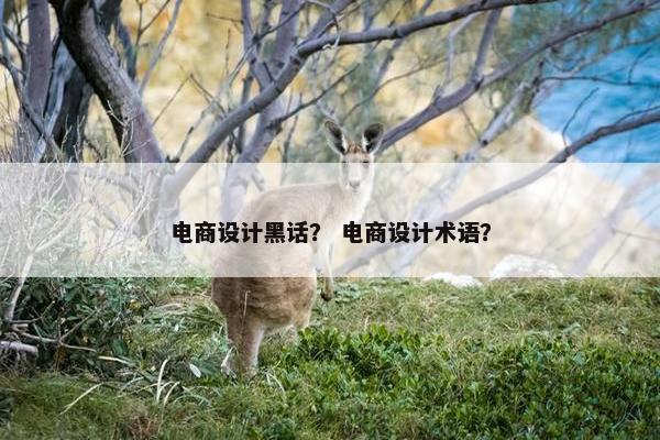 电商设计黑话？ 电商设计术语？