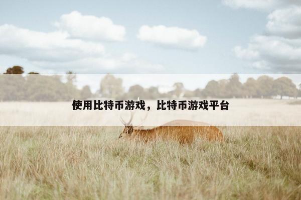 使用比特币游戏，比特币游戏平台