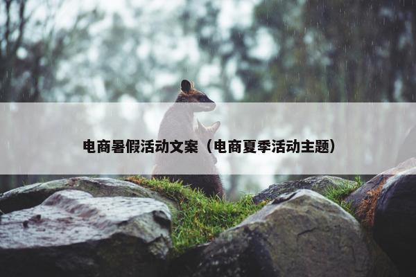 电商暑假活动文案（电商夏季活动主题）