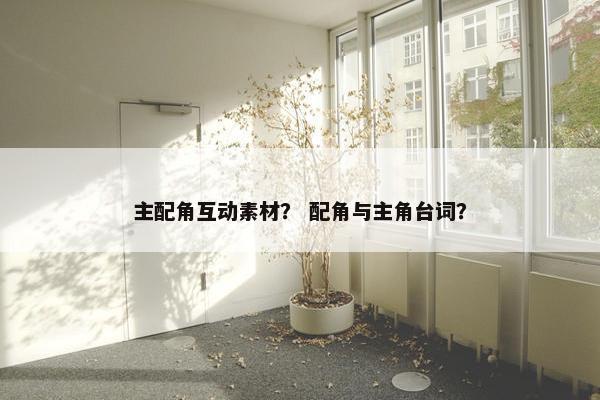 主配角互动素材？ 配角与主角台词？