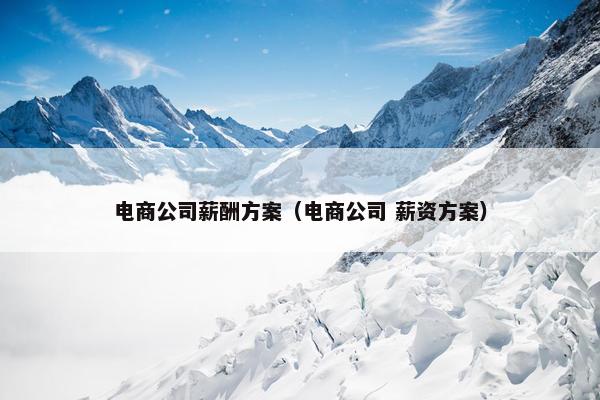电商公司薪酬方案（电商公司 薪资方案）
