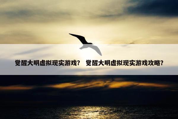 觉醒大明虚拟现实游戏？ 觉醒大明虚拟现实游戏攻略？