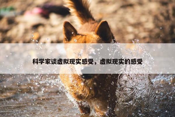 科学家谈虚拟现实感受，虚拟现实的感受