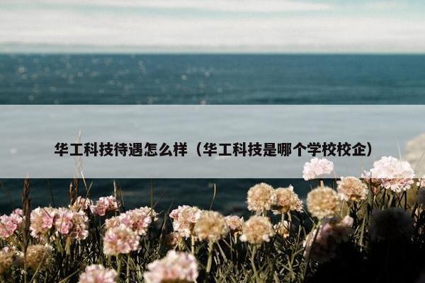 华工科技待遇怎么样（华工科技是哪个学校校企）