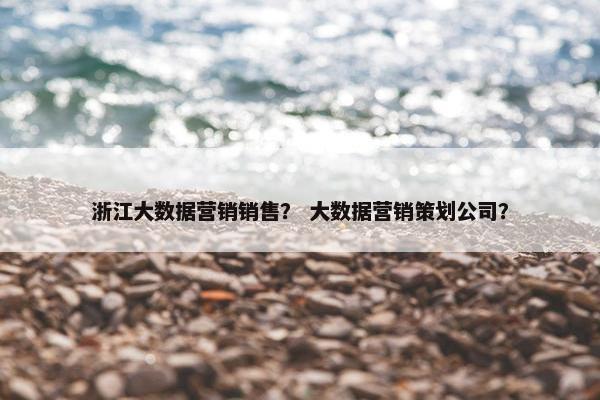 浙江大数据营销销售？ 大数据营销策划公司？