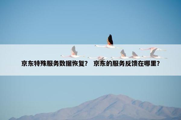 京东特殊服务数据恢复？ 京东的服务反馈在哪里？