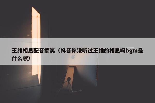 王维相思配音搞笑（抖音你没听过王维的相思吗bgm是什么歌）
