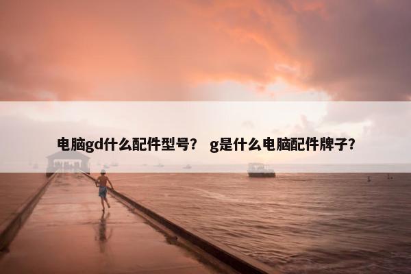 电脑gd什么配件型号？ g是什么电脑配件牌子？