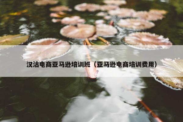 汉沽电商亚马逊培训班（亚马逊电商培训费用）