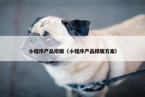 小程序产品排版（小程序产品排版方案）