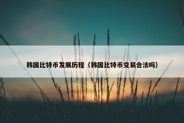 韩国比特币发展历程（韩国比特币交易合法吗）