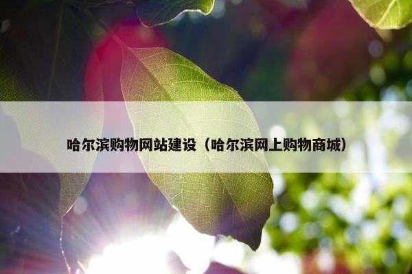 哈尔滨购物网站建设（哈尔滨网上购物商城）
